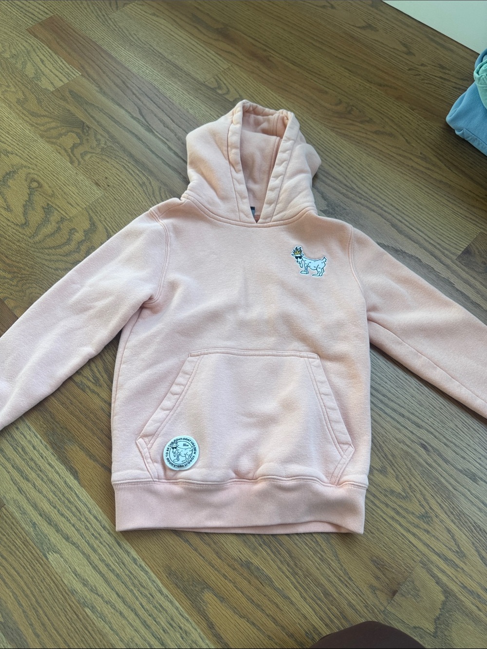 Boys orange Hoodie with Embroidered goat GOAT USA
